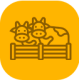 cow2-lote